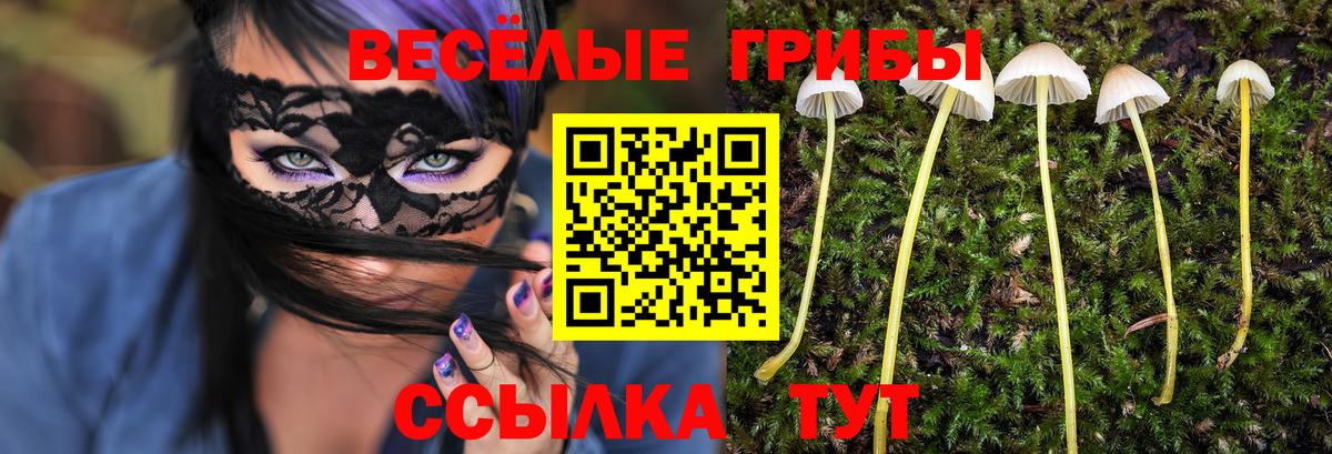 Галлюциногенные грибы ЛСД Тара