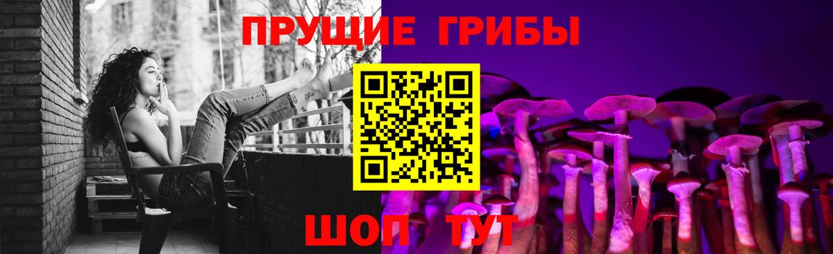 Псилоцибиновые грибы Psilocybine cubensis  Вход с VPN  сколько стоит  Тара 
